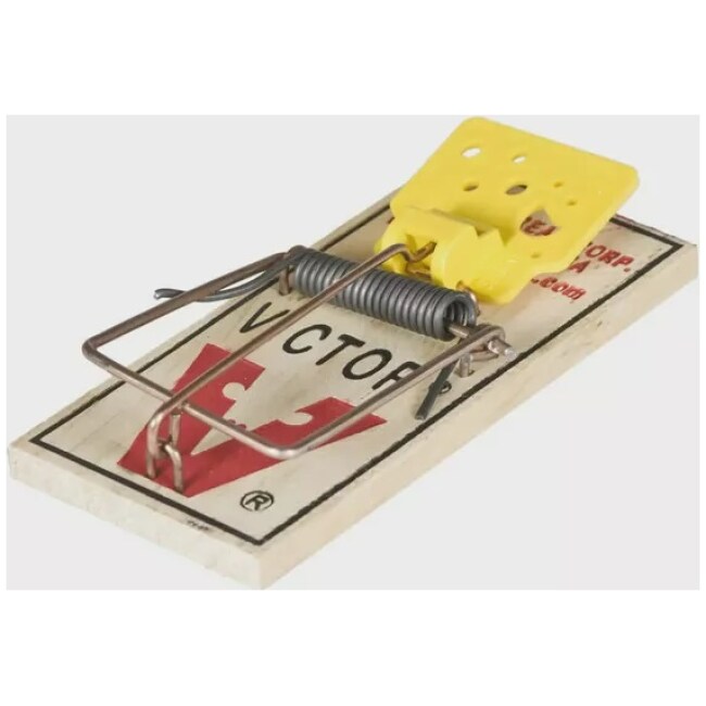 Victor Easy Set Mouse Trap, 2 Pack