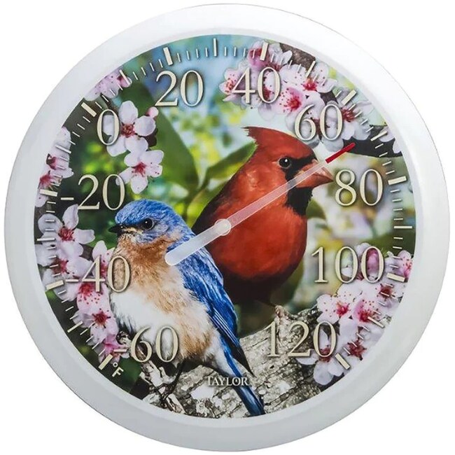 Taylor Cardinal/Blue Bird Dial Thermometer Plastic Multicolored 13.25 in.