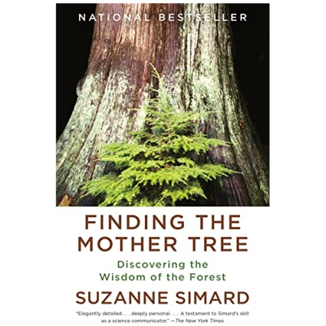 Finding the Mother Tree: Discovering the Wisdom of the Forest