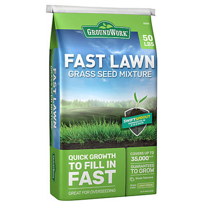 GroundWork 50 lb. Fast Lawn Grass Seed Mixture