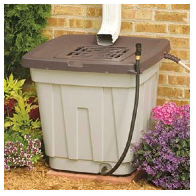 Rain Barrel Single Pack